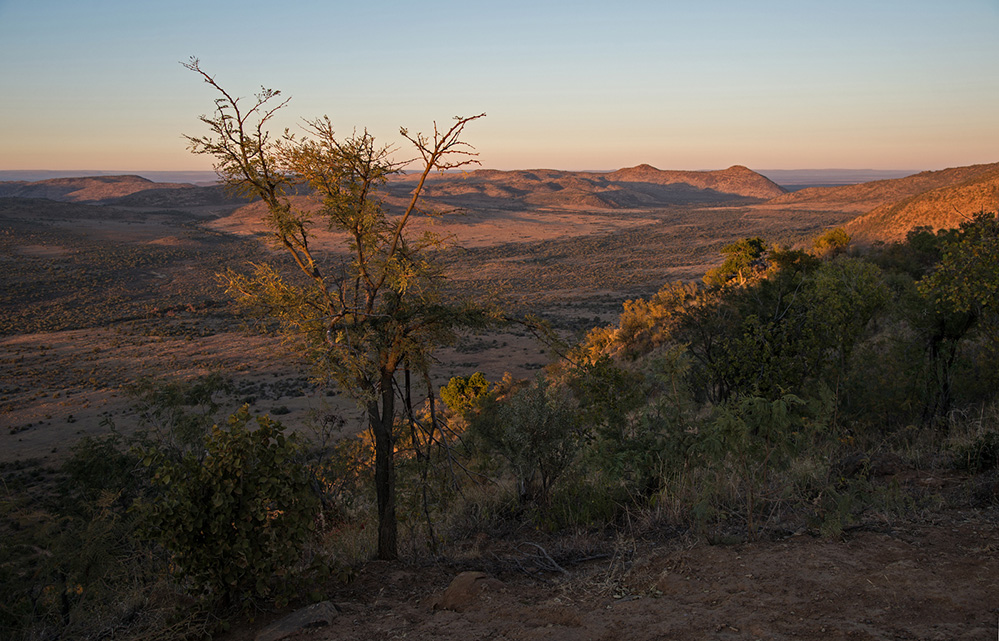 Pilanesberg National Park Early Morning on the High Veld